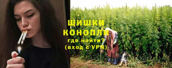 дживик Лабытнанги