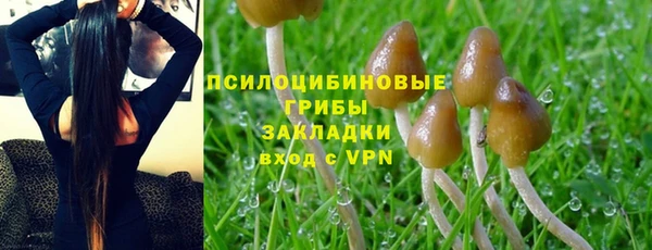 дживик Лабытнанги