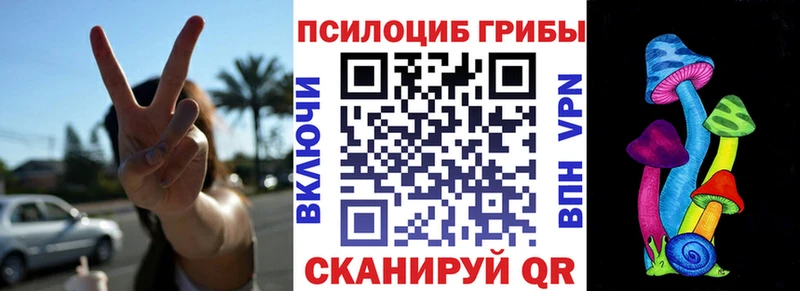 Купить где Ессентукская Галлюциногенные грибы Cubensis